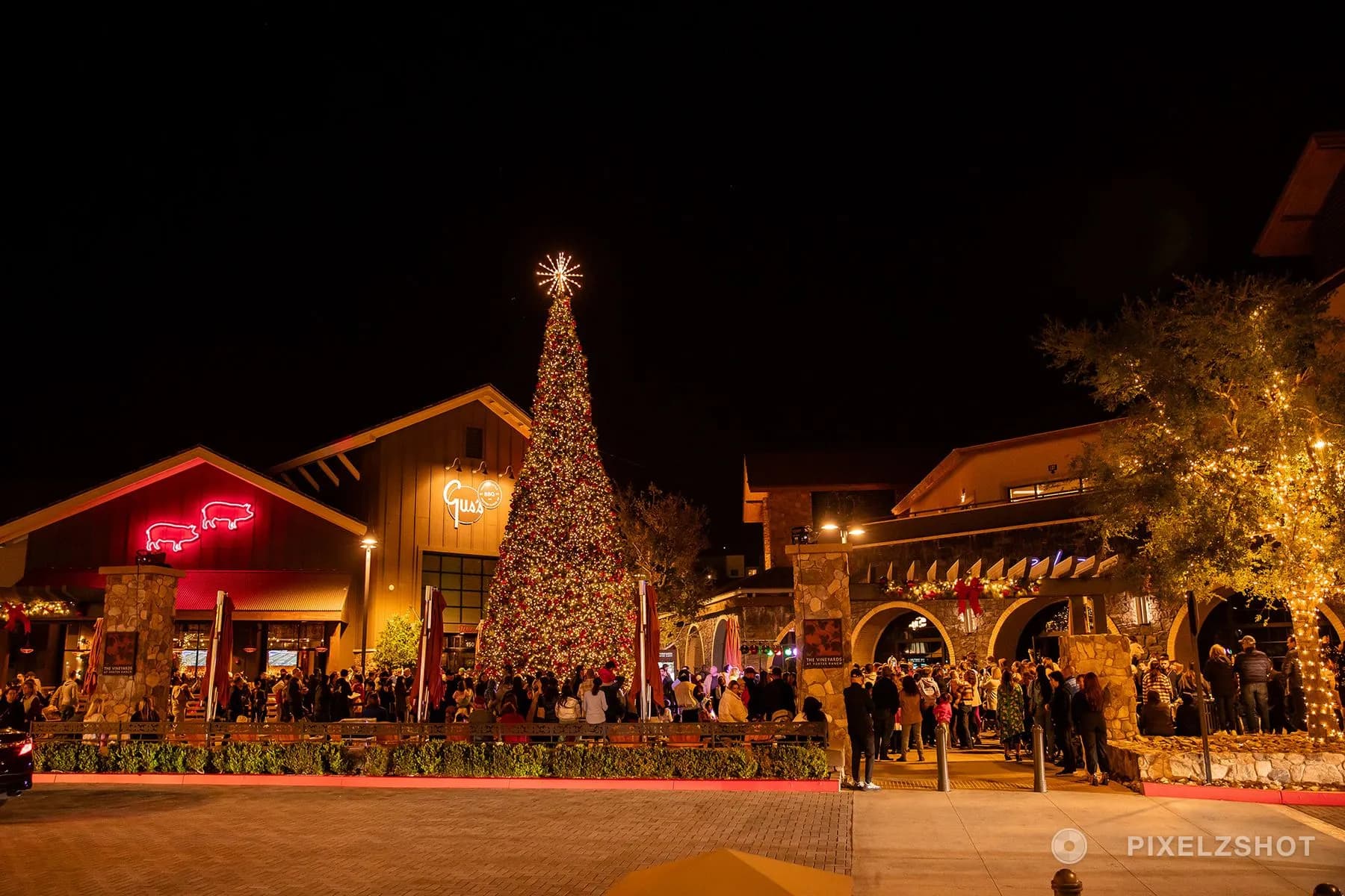The plaza after dark with the tree lit end to end and a bright star on top, the crowd gathered around its base