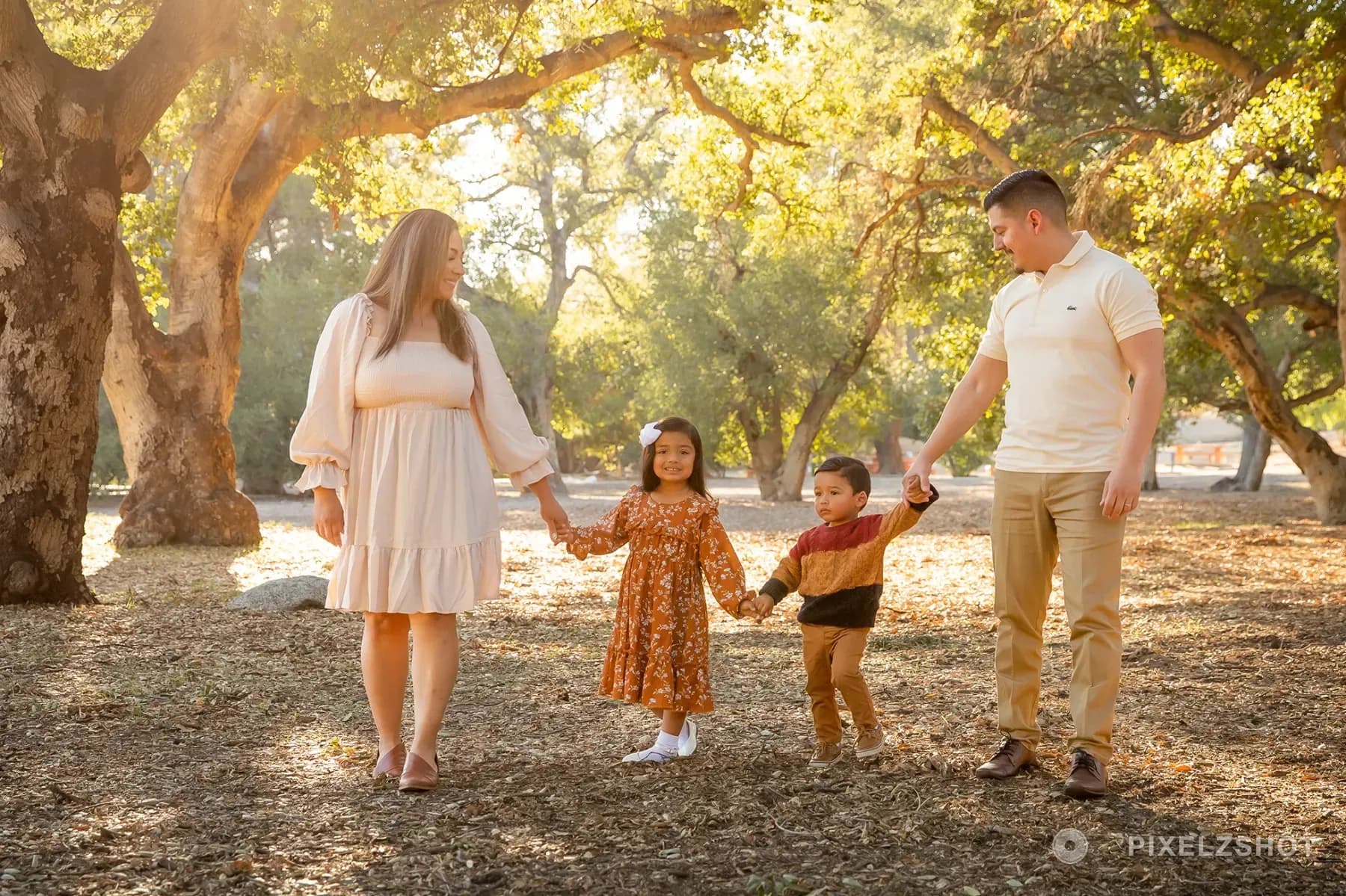 All four walking in a line holding hands across the leaf litter, under an old oak with the light coming through sideways