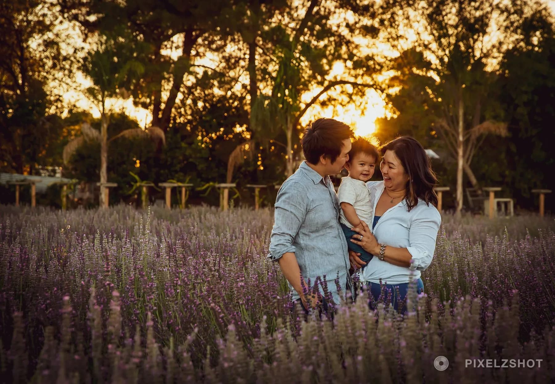 A family of three standing together in a lavender field, the sun burning out through the trees behind them