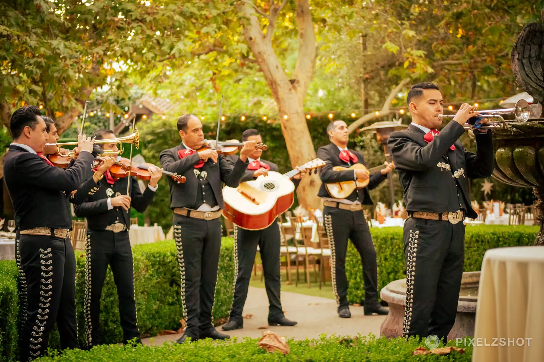 A six-piece mariachi band in black and silver playing violins, trumpet and guitar in the garden